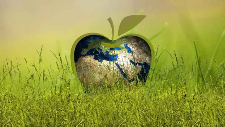 Relacja: ESG – jak pracodawcy włączają się do procesu zrównoważonego rozwoju